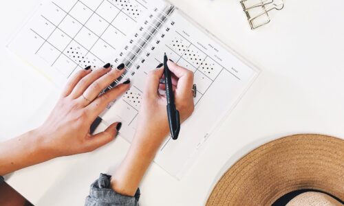 الصورة المصغرة للدورة